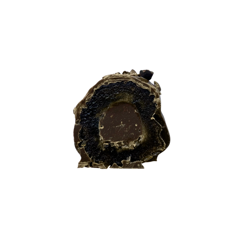 Dark Chocolate Covered Medjool Date | Double Chocolate