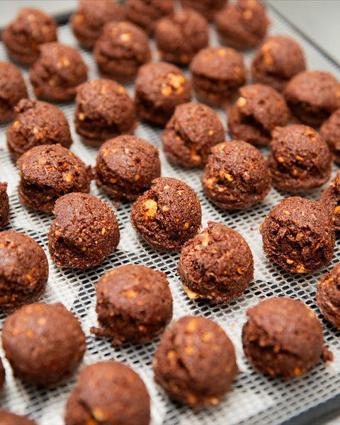 Macaroons | Cacao Hazelnut