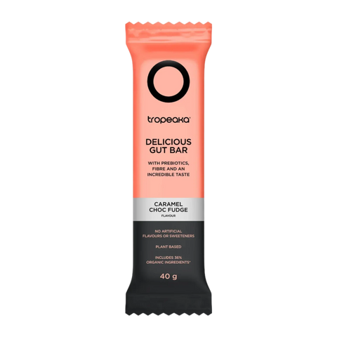 Delicious Gut Bar | Caramel Choc Fudge