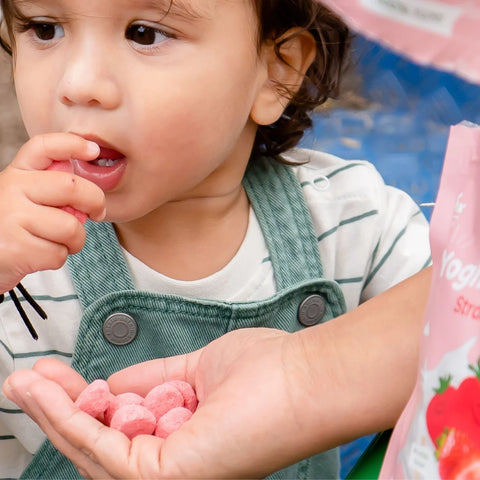 Yoghurt Meltz | Strawberry