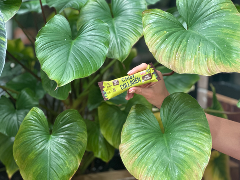 Collagen Protein Bar | Choc Pistachio